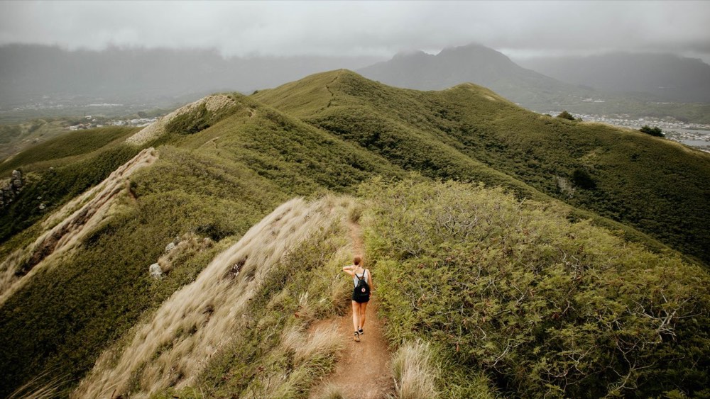A runner on a green ridge trail